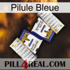 Blue Pill 12